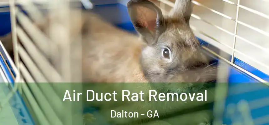  Air Duct Rat Removal Dalton - GA
