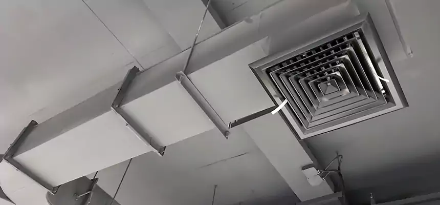 Restorative Allergy Relief Vent Cleaning – Coil, Blower & Housing Detail in Dalton