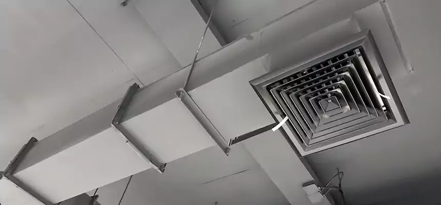 Our Rodent Droppings In Vents Services in Dalton, GA