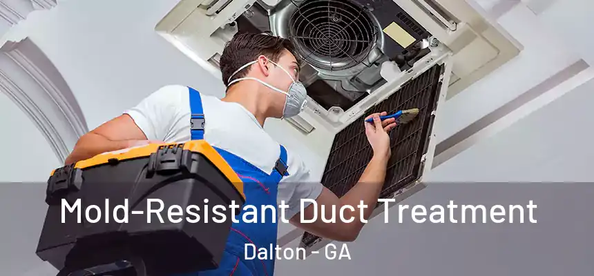  Mold-Resistant Duct Treatment Dalton - GA