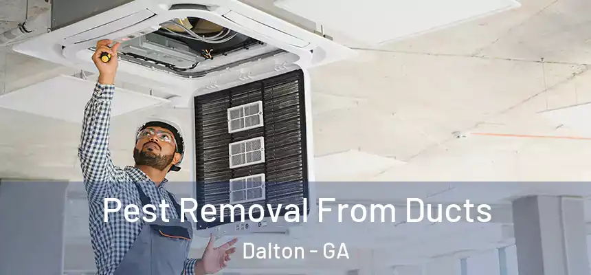  Pest Removal From Ducts Dalton - GA