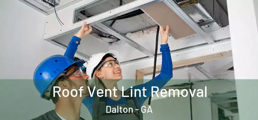  Roof Vent Lint Removal Dalton - GA