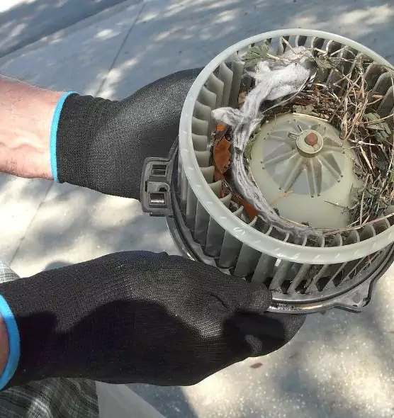 About Air Duct Mice Removal in Dalton, GA