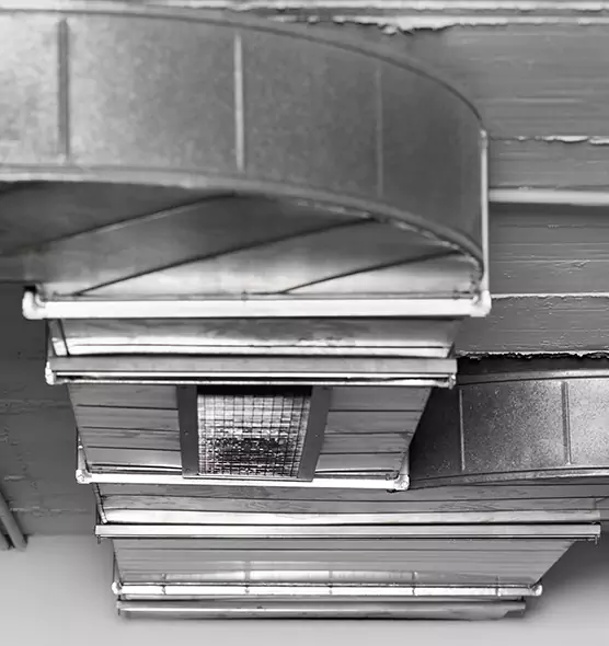 Professional Air Duct Pest Removal in Dalton, GA