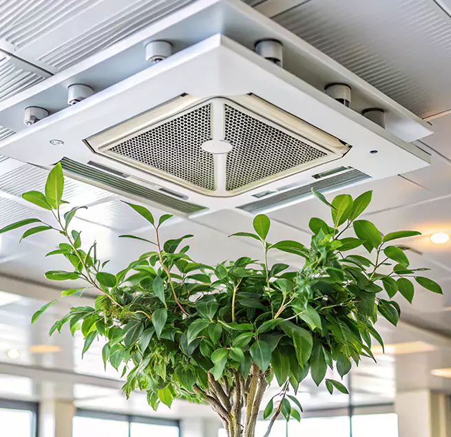 Why Homeowners & Businesses Trust Us in Dalton, GA?