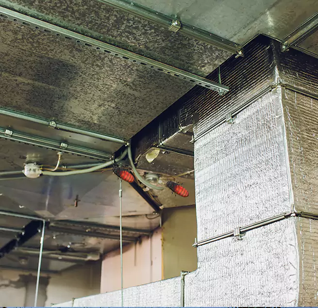 Why Homeowners & Businesses Trust Us Dalton, GA?