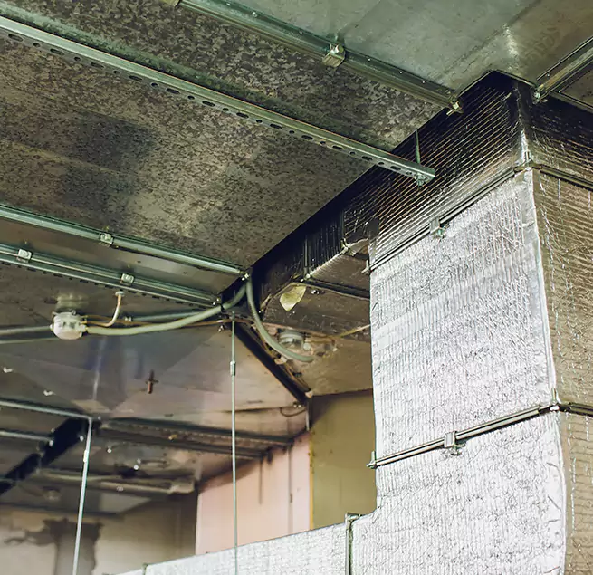 Why Homeowners & Businesses Trust Us in Dalton, GA?